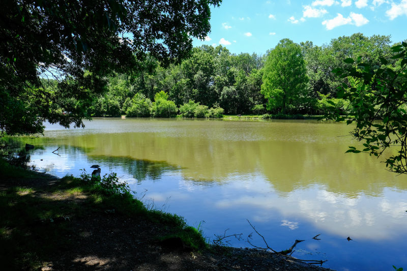 Willowbrook Lake