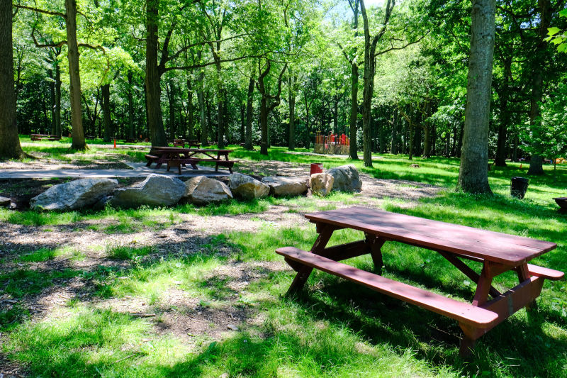 Picnic & Barbecue Area